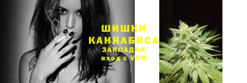 купить наркотики сайты  Ветлуга  Конопля SATIVA & INDICA 